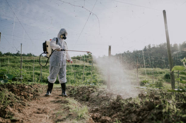 Best Mosquito Control Services  in Amesti, CA