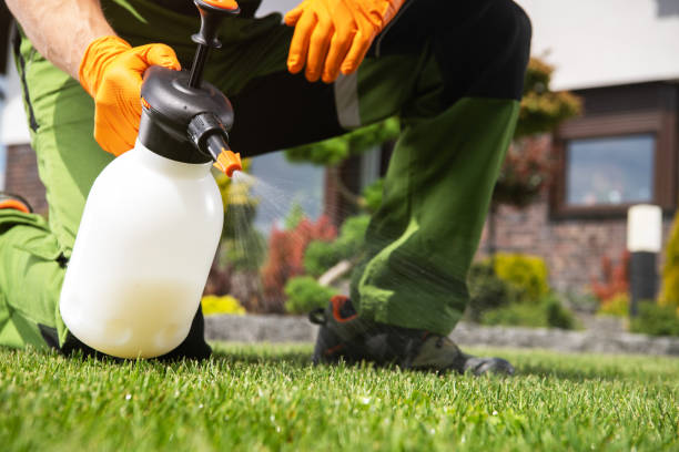 Best Pest Prevention Services  in Amesti, CA