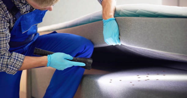Best Local Pest Control Services  in Amesti, CA