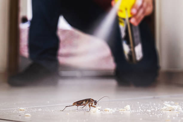 Flea Control Services in Amesti, CA